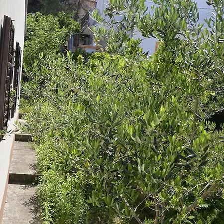 Hébergement de vacances Kucica Trogir